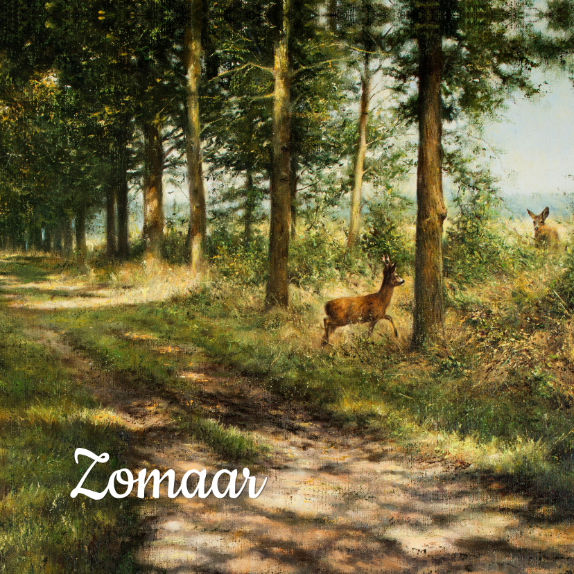 Zomaar kaart herten in het bos - Zomaar kaarten Zomaar kaarten - Zomaar kaart herten in het bos