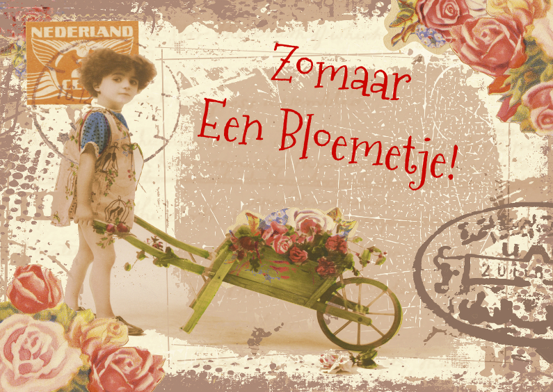 Zomaar kruiwagen bloemen - Zomaar kaarten Zomaar kaarten - Zomaar kruiwagen bloemen