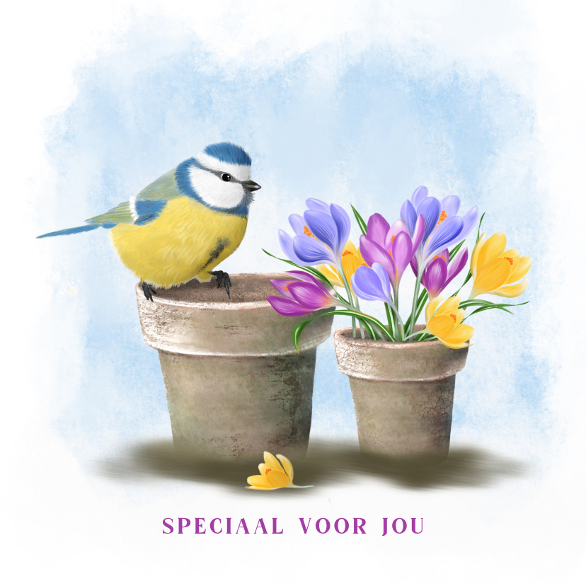 Zomaarkaart met vogels en krokussen - Zomaar kaarten Zomaar kaarten - Zomaarkaart met vogels en krokussen