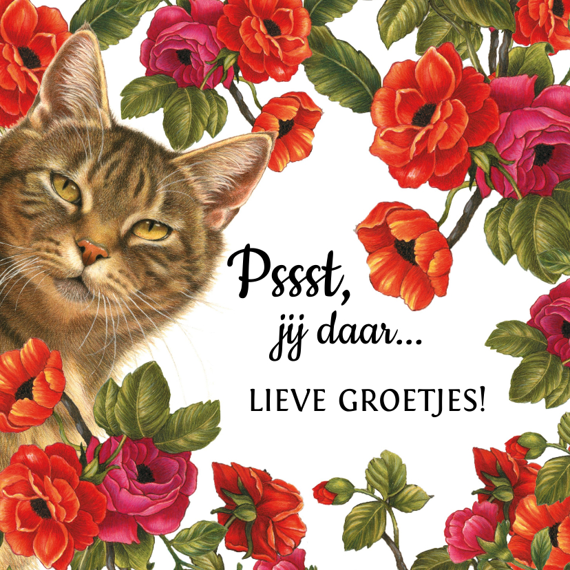 Zomaar kaarten - Zomaarkaart Pssst jij daar lieve groetjes bloemen en katten